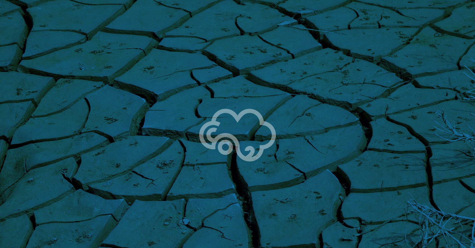 Verra y Gold Standard