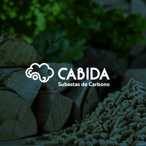 CABIDA