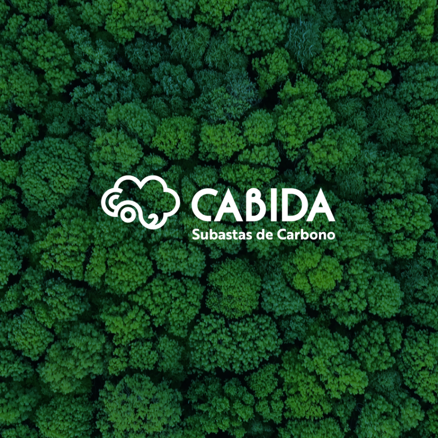 CABIDA